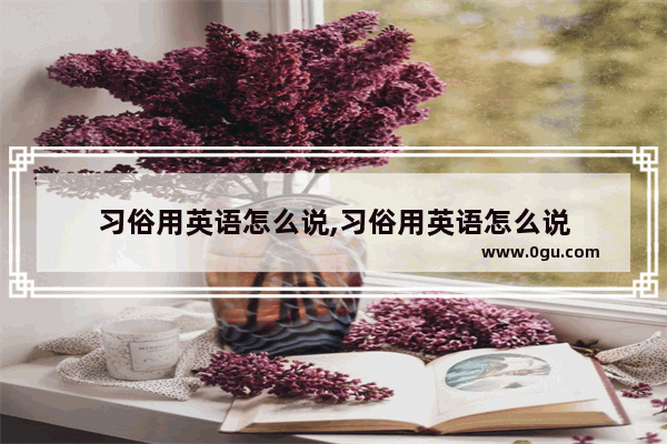 习俗用英语怎么说,习俗用英语怎么说