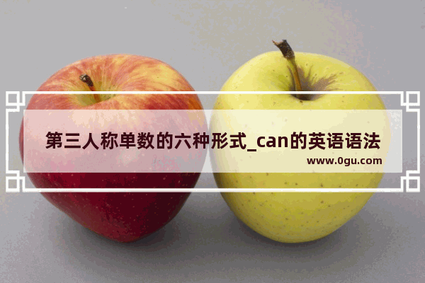第三人称单数的六种形式_can的英语语法