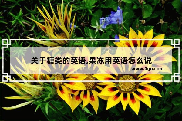 关于糖类的英语,果冻用英语怎么说