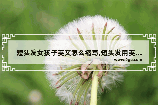 短头发女孩子英文怎么缩写,短头发用英语怎么说