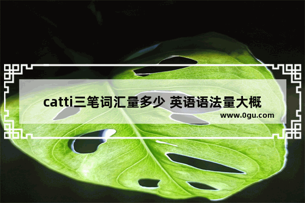 catti三笔词汇量多少 英语语法量大概是多少