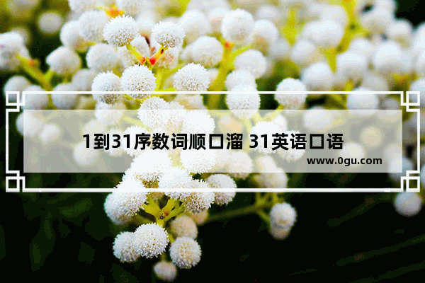 1到31序数词顺口溜 31英语口语