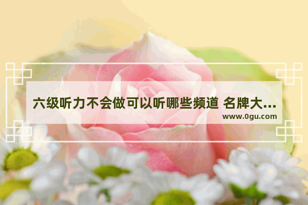 六级听力不会做可以听哪些频道 名牌大学英语六级考试