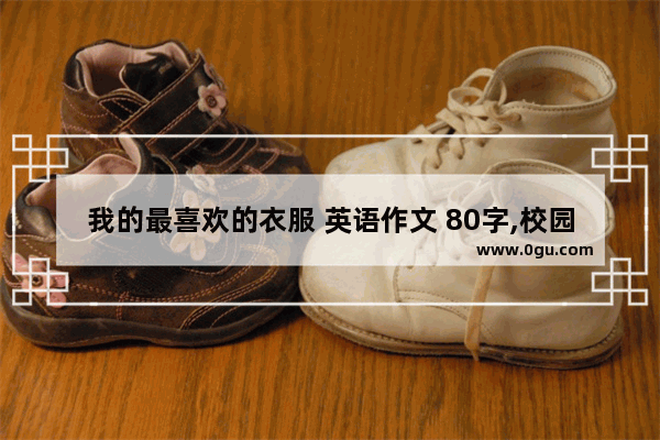 我的最喜欢的衣服 英语作文 80字,校园时尚英语作文