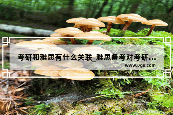 考研和雅思有什么关联_雅思备考对考研英语有帮助吗