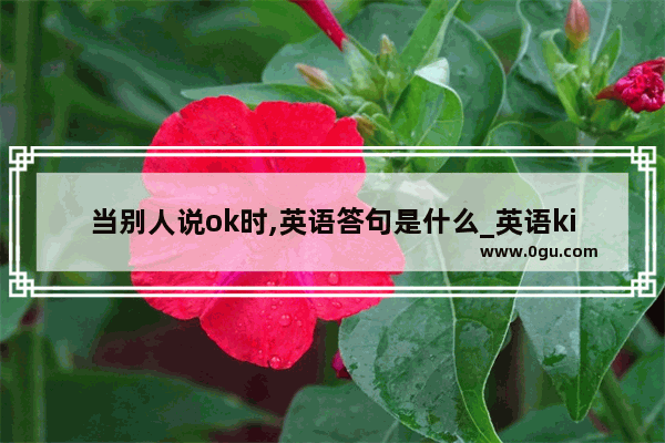 当别人说ok时,英语答句是什么_英语kindof和akindof和kindsof的区别