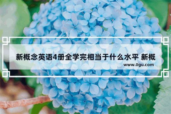 新概念英语4册全学完相当于什么水平 新概念4相当于雅思几