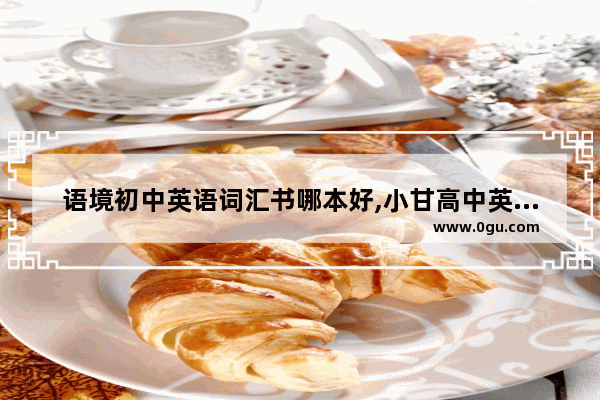 语境初中英语词汇书哪本好,小甘高中英语语法