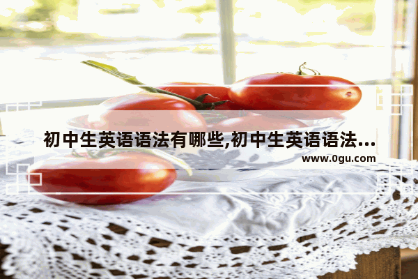 初中生英语语法有哪些,初中生英语语法有哪些
