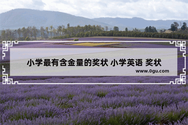 小学最有含金量的奖状 小学英语 奖状