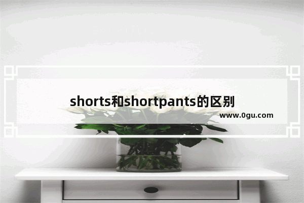 shorts和shortpants的区别 内衣英语口语