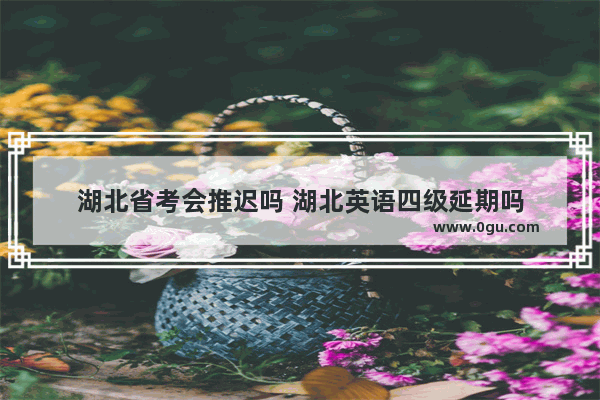 湖北省考会推迟吗 湖北英语四级延期吗