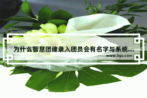 为什么智慧团建录入团员会有名字与系统内名字不符 英语四级显示姓名不符