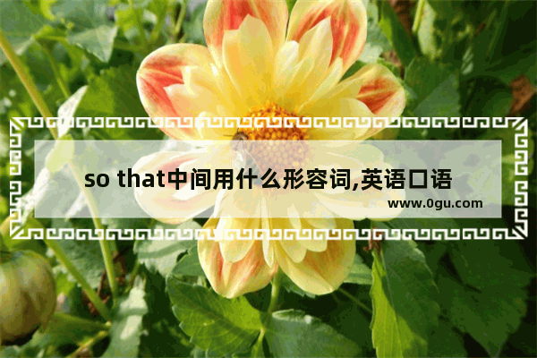 so that中间用什么形容词,英语口语sothat