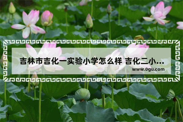 吉林市吉化一实验小学怎么样 吉化二小英语考试卷