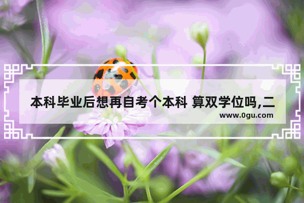 本科毕业后想再自考个本科 算双学位吗,二学历学士学位英语考试