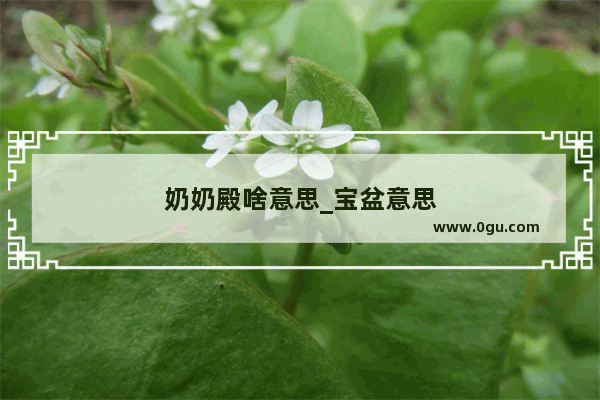 奶奶殿啥意思_宝盆意思