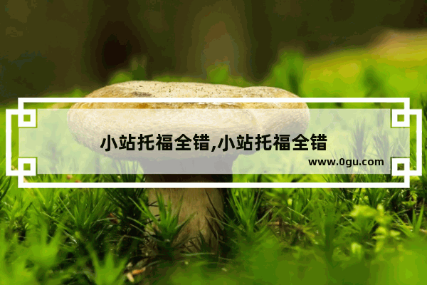 小站托福全错,小站托福全错