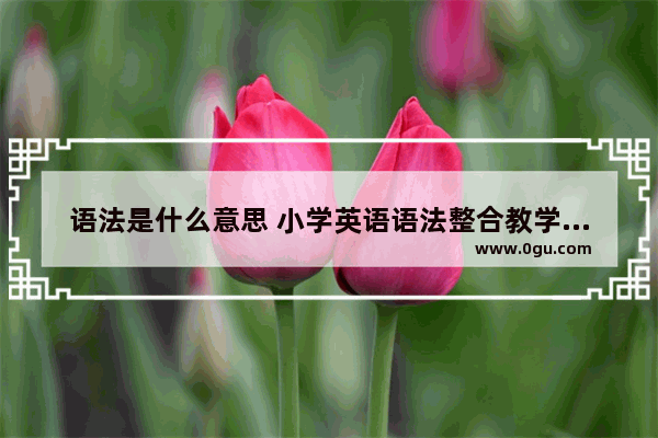 语法是什么意思 小学英语语法整合教学案例