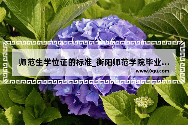 师范生学位证的标准_衡阳师范学院毕业要求