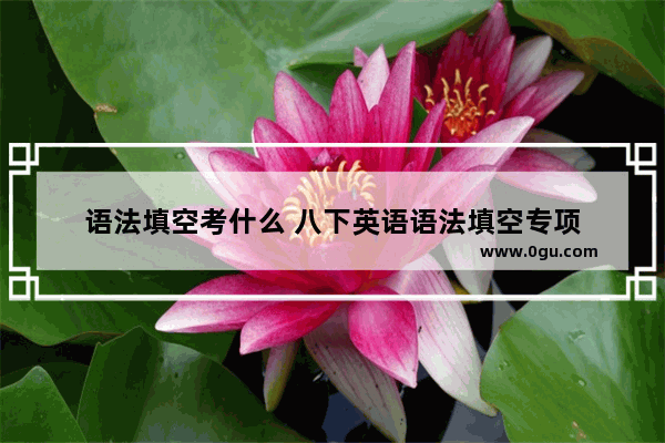 语法填空考什么 八下英语语法填空专项