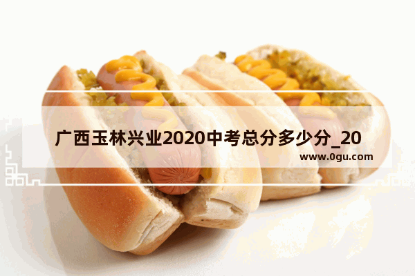 广西玉林兴业2020中考总分多少分_2020年玉林地区中考A+线多少分