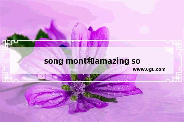 song mont和amazing song区别 可可英语 职场英语口语