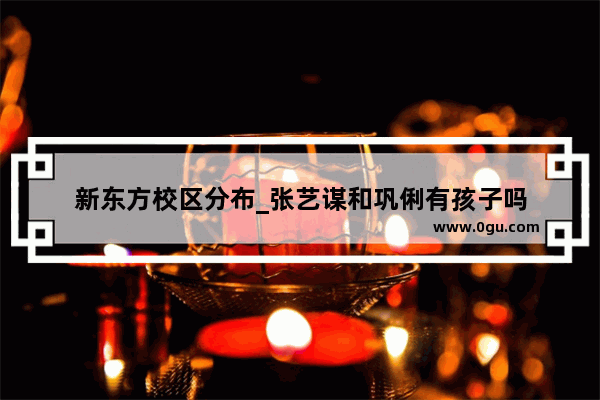 新东方校区分布_张艺谋和巩俐有孩子吗