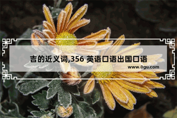 吉的近义词,356 英语口语出国口语