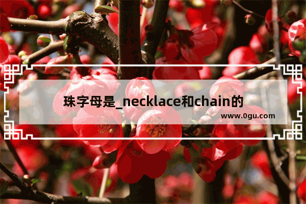 珠字母是_necklace和chain的区别