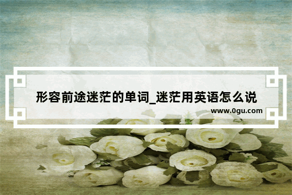 形容前途迷茫的单词_迷茫用英语怎么说