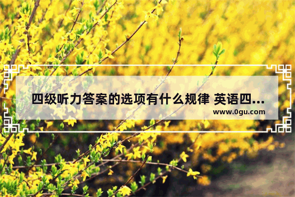 四级听力答案的选项有什么规律 英语四级听力单词分析