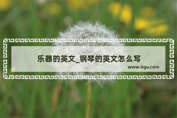 乐器的英文_钢琴的英文怎么写