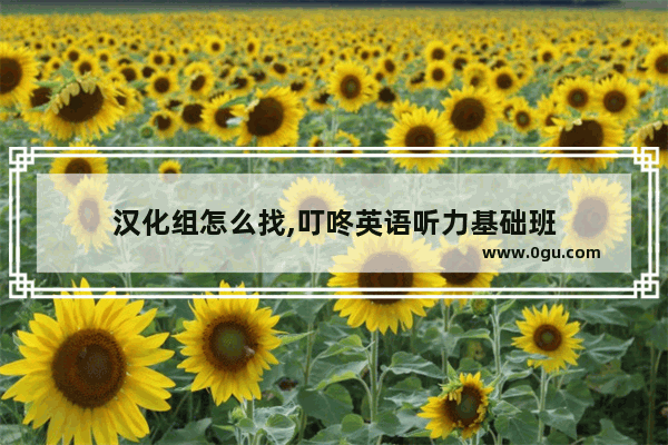 汉化组怎么找,叮咚英语听力基础班