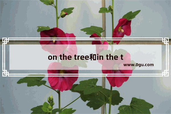 on the tree和in the tree的区别 在树下用英语怎么说
