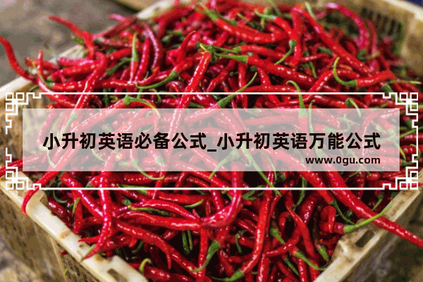 小升初英语必备公式_小升初英语万能公式