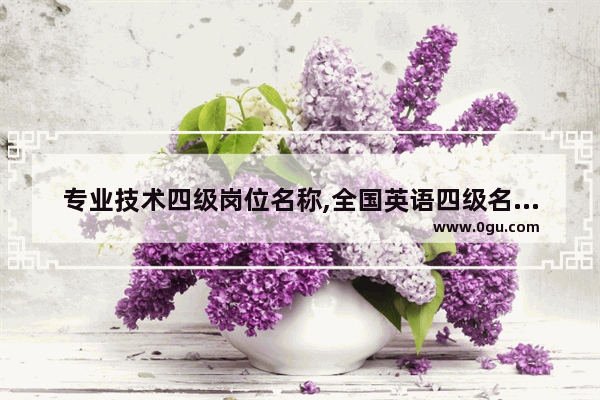 专业技术四级岗位名称,全国英语四级名称大全