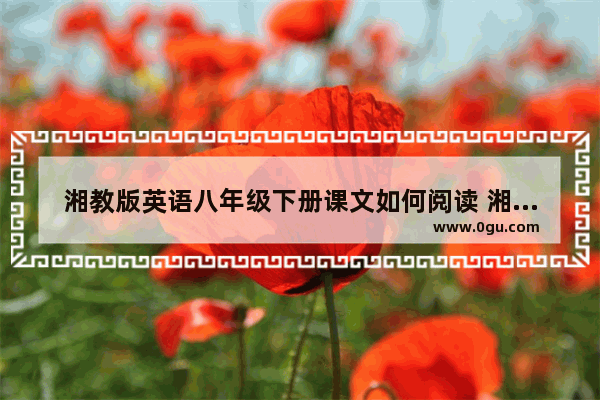 湘教版英语八年级下册课文如何阅读 湘教版高中英语语法大全