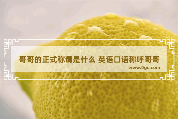 哥哥的正式称谓是什么 英语口语称呼哥哥