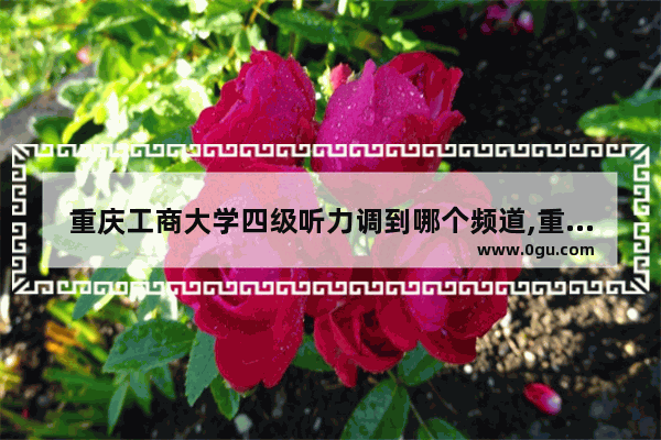 重庆工商大学四级听力调到哪个频道,重庆大学英语四级