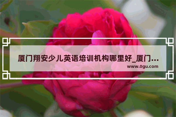 厦门翔安少儿英语培训机构哪里好_厦门小学教材版本