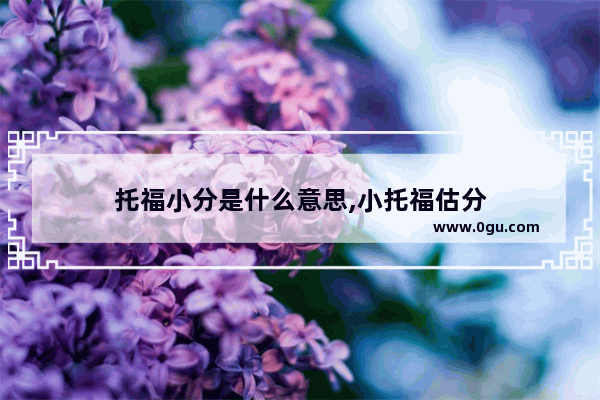 托福小分是什么意思,小托福估分