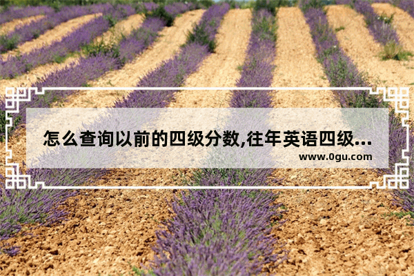 怎么查询以前的四级分数,往年英语四级成绩核查