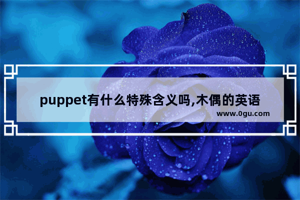 puppet有什么特殊含义吗,木偶的英语怎么说
