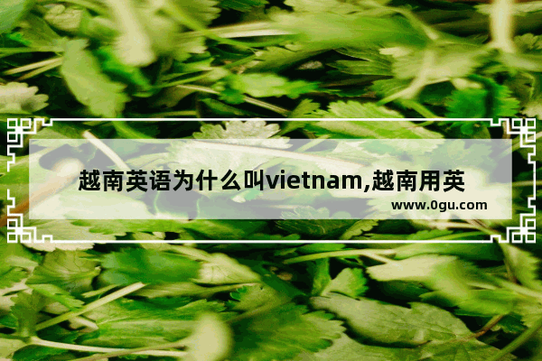 越南英语为什么叫vietnam,越南用英语怎么说