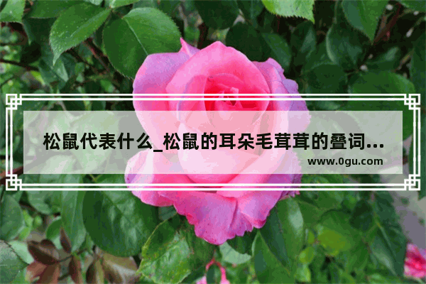 松鼠代表什么_松鼠的耳朵毛茸茸的叠词仿句