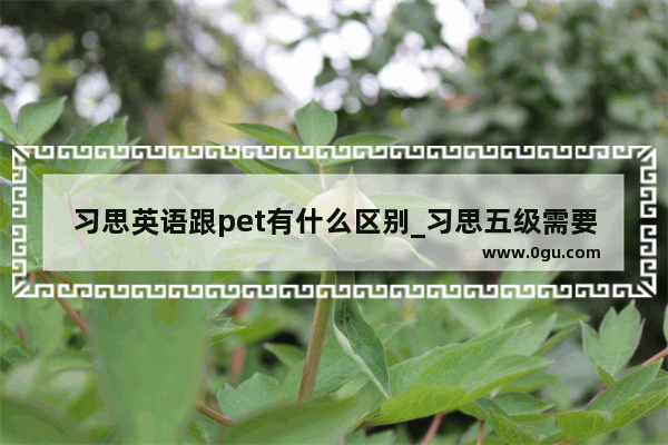 习思英语跟pet有什么区别_习思五级需要多少词汇量