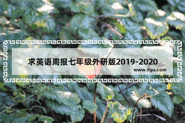 求英语周报七年级外研版2019-2020第九期的答案,教育周报英语听力2019