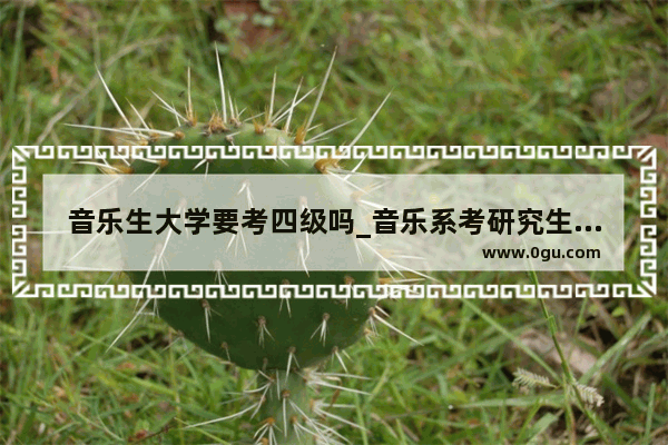 音乐生大学要考四级吗_音乐系考研究生英语要过多少级哦