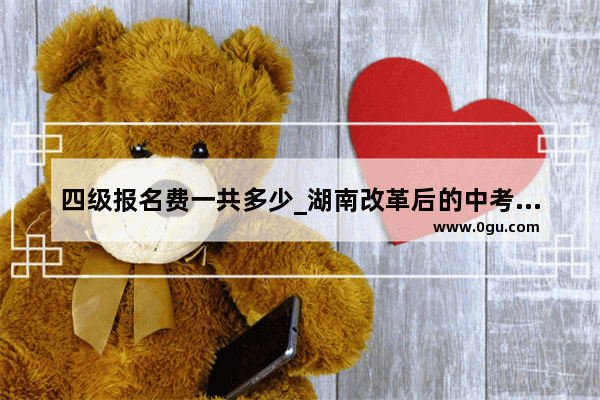四级报名费一共多少_湖南改革后的中考总分是多少